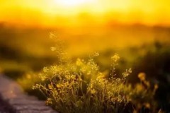 VCT CN联赛BLG战队电竞总决赛夺冠，重庆电竞热潮助推中国电竞发展